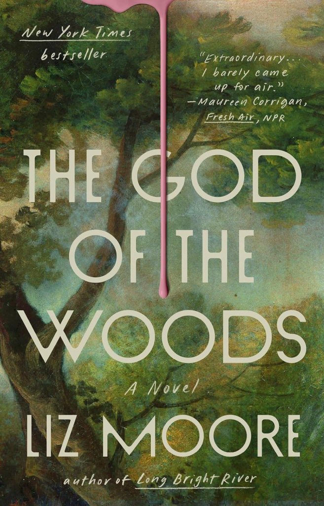 Book cover of The God of the Woods by Liz Moore